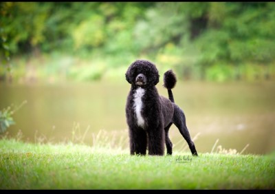 class=special
